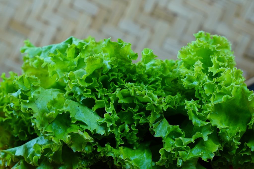 Vibrant fresh green lettuce leaves in a close-up shot with woven basket background.