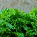 Vibrant fresh green lettuce leaves in a close-up shot with woven basket background.